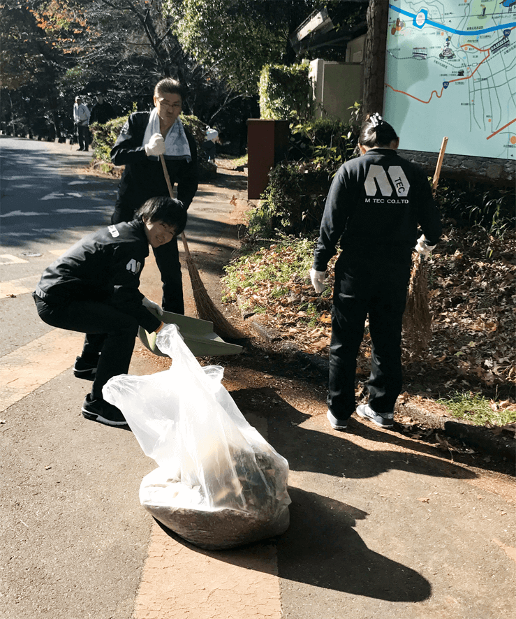 Removing fallen leaves 